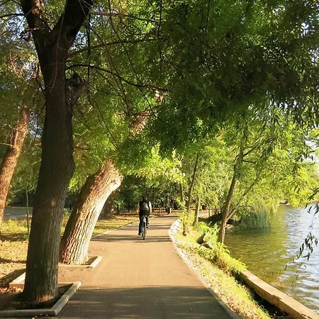 Cr Aviatiei Business Center *